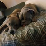 Nathan Buhler - Facebook