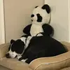 bunchnathan - @bunchnathan - TikTok