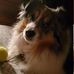 Nathan Bunch - Facebook