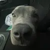 nathancagle_1 - @nathancagle_1 - TikTok