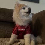 Nathan Cahoon - @nate_cahoon - Instagram