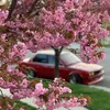 Nate-fpv - @nathancall735 - TikTok