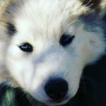 Nathan Canfield - @nathan.canfield - Instagram