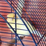 Nathan Cardinal - @cardinal6426 - Instagram