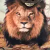 nathaniel.cardinal - @nathaniel.cardinal - TikTok