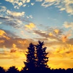 Nathan Carlson - @_nathan_carlson - Instagram