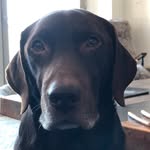 Nathan Carson - @nathancarson63 - Instagram