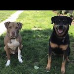 Nathan Cassel - @hillbilly_1749 - Instagram