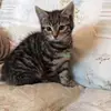 nathancassidyy - @nathancassidyy - TikTok