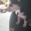 Jonathan Cedillo - @jonathan.cedillo55 - TikTok