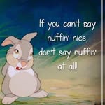 Nathan Cee - @the_nathanator23 - Instagram