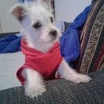 Nathan Cervantes - @nathancervantes404 - Instagram
