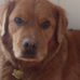 Nathaniel Chaffee - Facebook