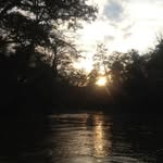 Nathan Chambliss - @vegeta_555676 - Instagram