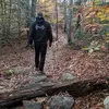 Nathan Charette - @c30rn8 - TikTok
