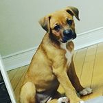 Nathan Chartier - @nathan.chartier.505 - Instagram
