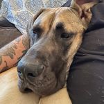Nathan Chatterton - @sunny_climate_seattle - Instagram