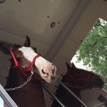 Nathan Chick - @dale.chick37 - Instagram
