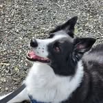 Nathan Child - @child_nathaniel42400 - Instagram