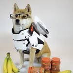 Nathan Luis V. Ching - @nathan_matrix - Instagram