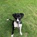 Nathan Christensen - Facebook