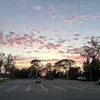 nathan Christensen - @nathanchristensen32 - TikTok