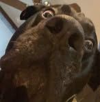 Nathan Ciszek - Facebook