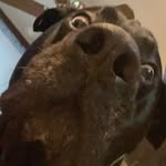 Nathan Ciszek - @nathanciszek - Instagram