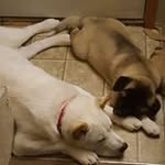 Nathan Colson - @nathan.colson.5 - Instagram