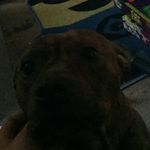 Nathan Compton - @nathancompton2009 - Instagram