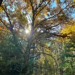 Nathan Conard - Facebook