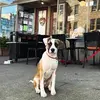 Nathan Connor - @nathan_connor._1 - TikTok