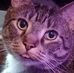 Nathan Conover - Facebook
