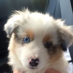 Nathan Conover - @nathan_conover - Instagram