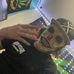 Nathan Corkum - Facebook