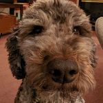 Nathan Corley - @n8c_wi - Instagram