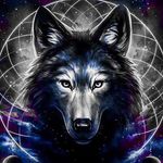 Nathan Corley - @wolfemperor_n - Instagram