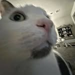 Nathan Corpuz - @nathan_d3_coco - Instagram