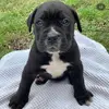 nathan.lina.corso - @nathan.lina.corso - TikTok