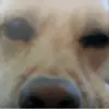 Nathan Coston - @nathanscoston - TikTok