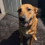 Nathan Counts - @muckdog115 - Instagram