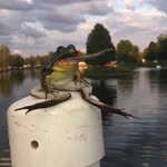 tyler c - @tyler_nathaniel_courson - Instagram
