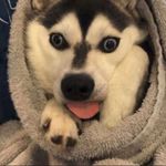 Nathan Crabtree - @shadowcaster120 - Instagram