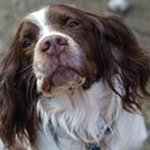 Nathan Daniel Crabtree - @nathandanielcrabtree - Instagram