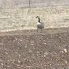 nathanielcraddock0 - @nathanielcraddock0 - TikTok