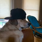Nathan Silvia-Cramer - @thewaywordsoul - Instagram
