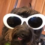 Nathan Cronin - @nooterbaby11 - Instagram