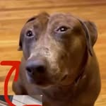 Nathan Cuevas - @nate71428 - Instagram