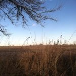 Nathan Culver - @nathanculver50 - Instagram