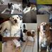 Nathan Comiskey - Facebook